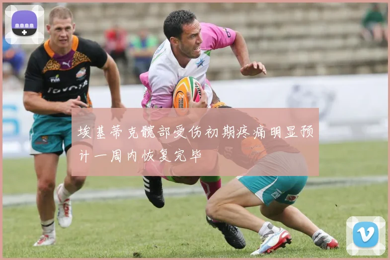 埃基蒂克髋部受伤初期疼痛明显预计一周内恢复完毕
